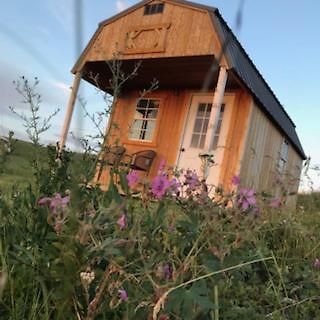 Гостевой дом Montana Old West Cabins Babb Экстерьер фото