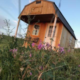 Гостевой дом Montana Old West Cabins Babb Экстерьер фото